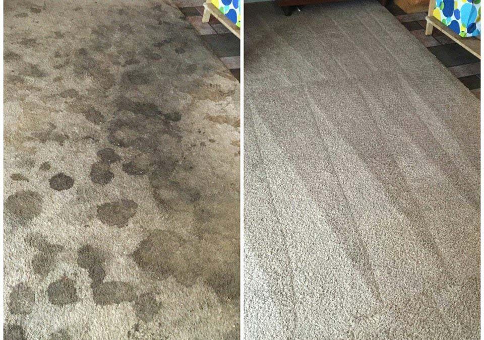Carpet Before and After #1